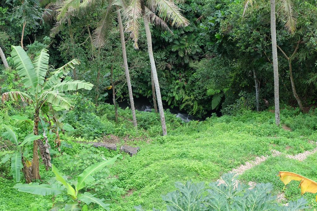 Tirta Asri Ubud Villa Zewnętrze zdjęcie