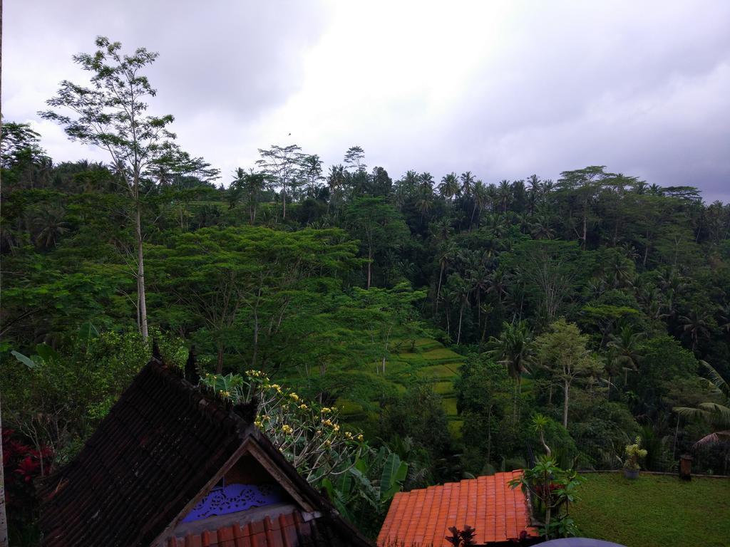 Tirta Asri Ubud Villa Zewnętrze zdjęcie