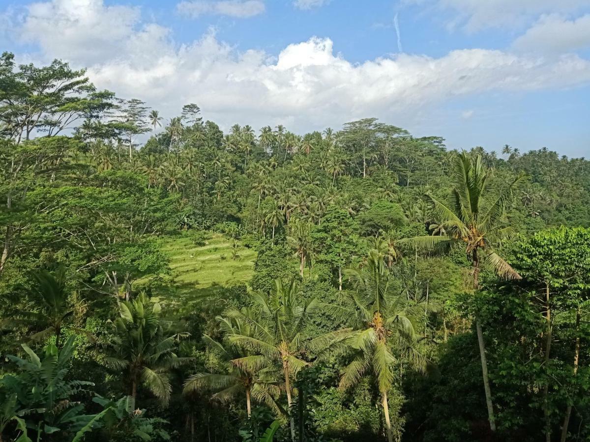 Tirta Asri Ubud Villa Zewnętrze zdjęcie