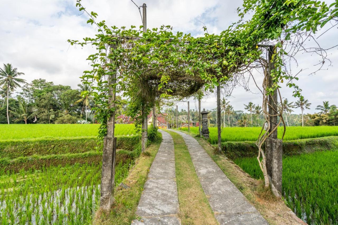 Tirta Asri Ubud Villa Zewnętrze zdjęcie